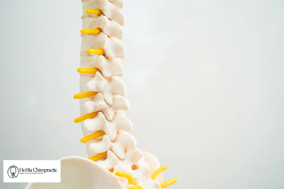 Supporting Your Spine Between Visits