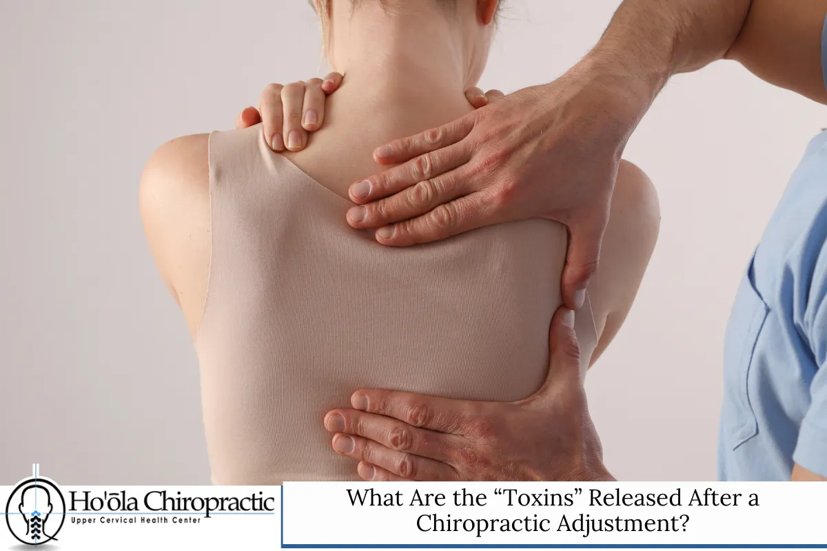 What Are the “Toxins” Released After a Chiropractic Adjustment?