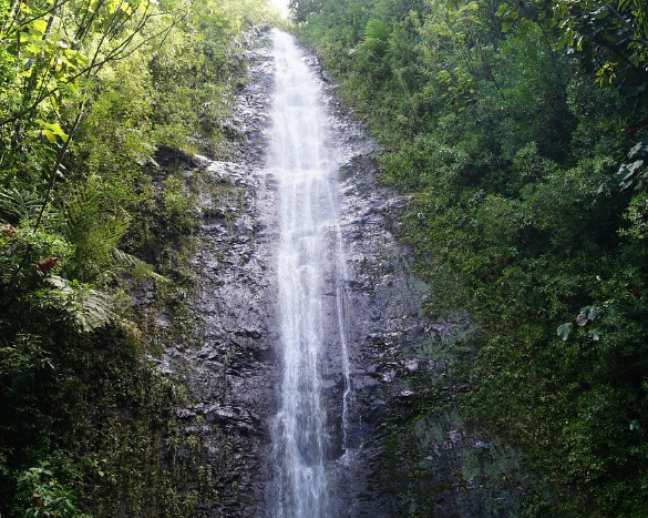 Manoa Falls