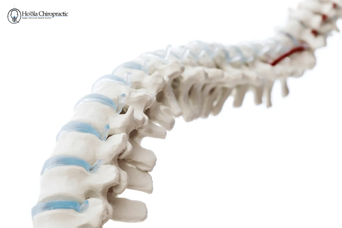 A Fresh Start for Your Spine Health