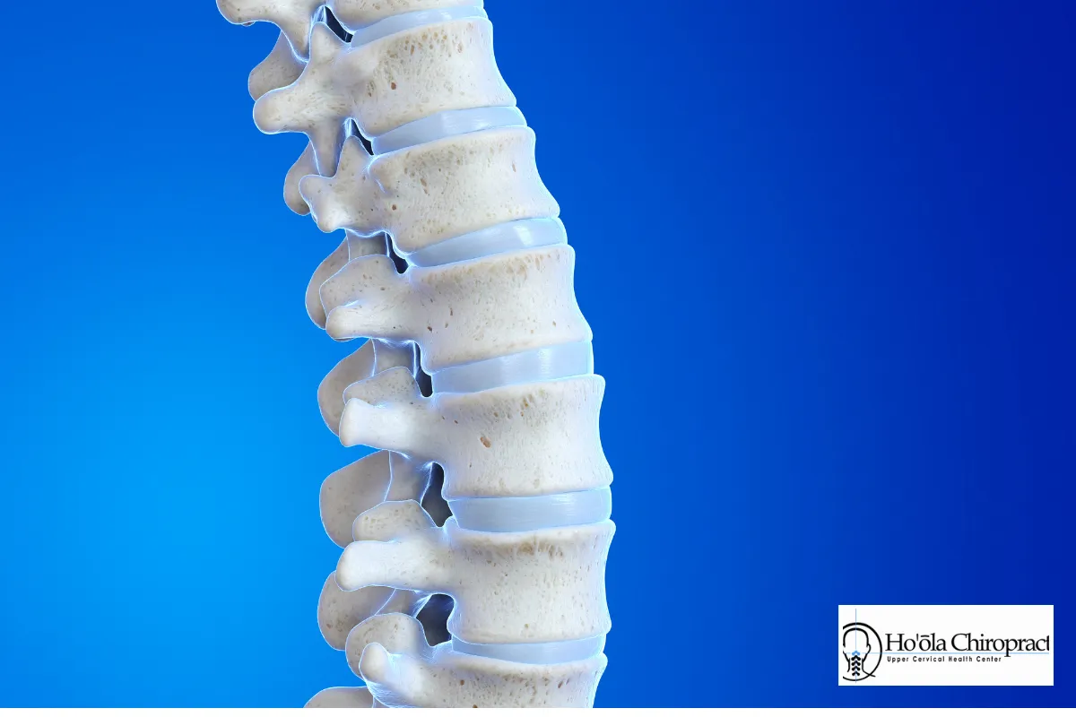 Keeping Your Spine Healthy After Your Adjustment in Honolulu