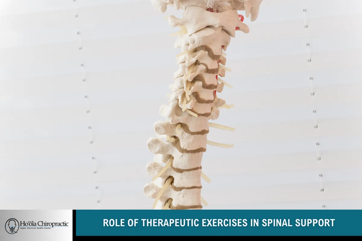 Role of Therapeutic Exercises in Spinal Support