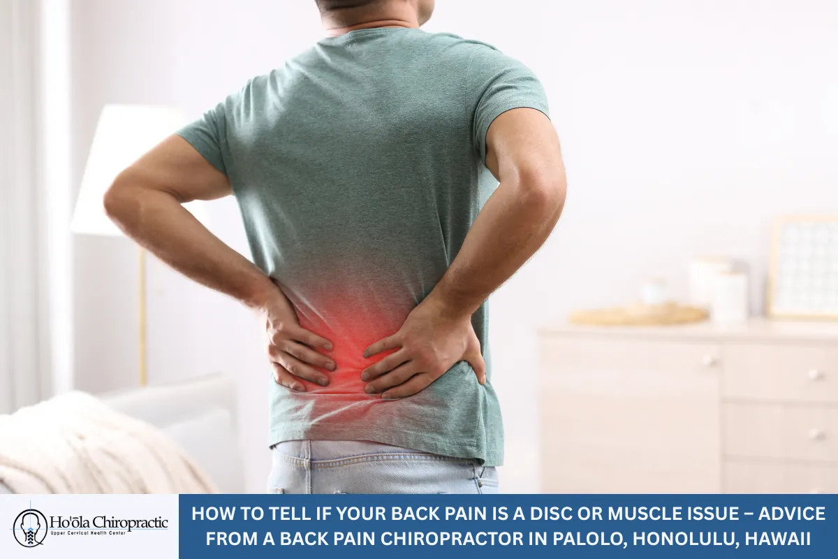 How to Tell If Your Back Pain Is a Disc or Muscle Issue – Advice from a Back Pain Chiropractor in Palolo, Honolulu, Hawaii