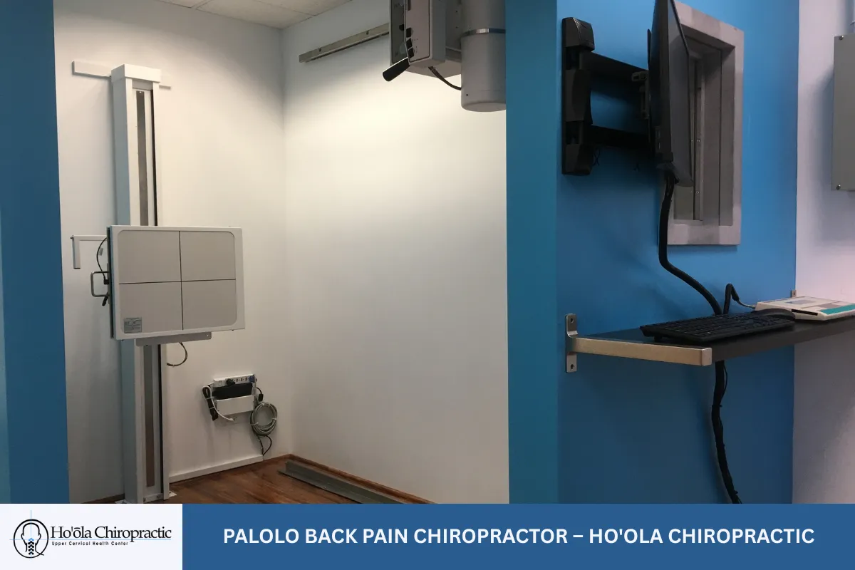 Palolo Back Pain Chiropractor – Ho'ola Chiropractic