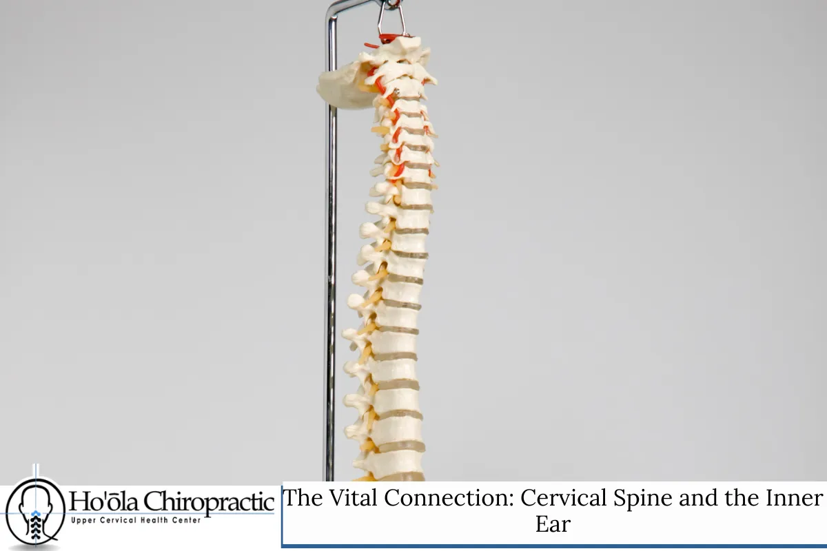The Vital Connection: Cervical Spine and the Inner Ear