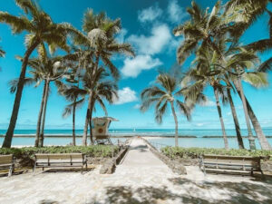 view of waikiki beach with sand and palm trees hoola chiropractic honolulu hi